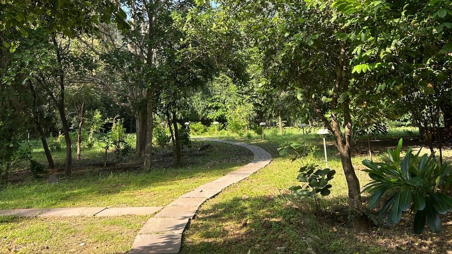 8-Landscape - Surya Bagh -6