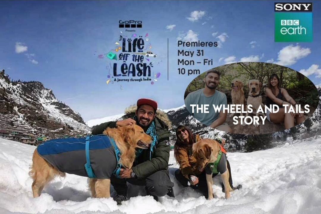 A poster of a show on BBC - Evergreen County