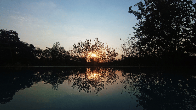 Calm lake reflecting trees at sunset, with the sky casting a warm glow on the water.