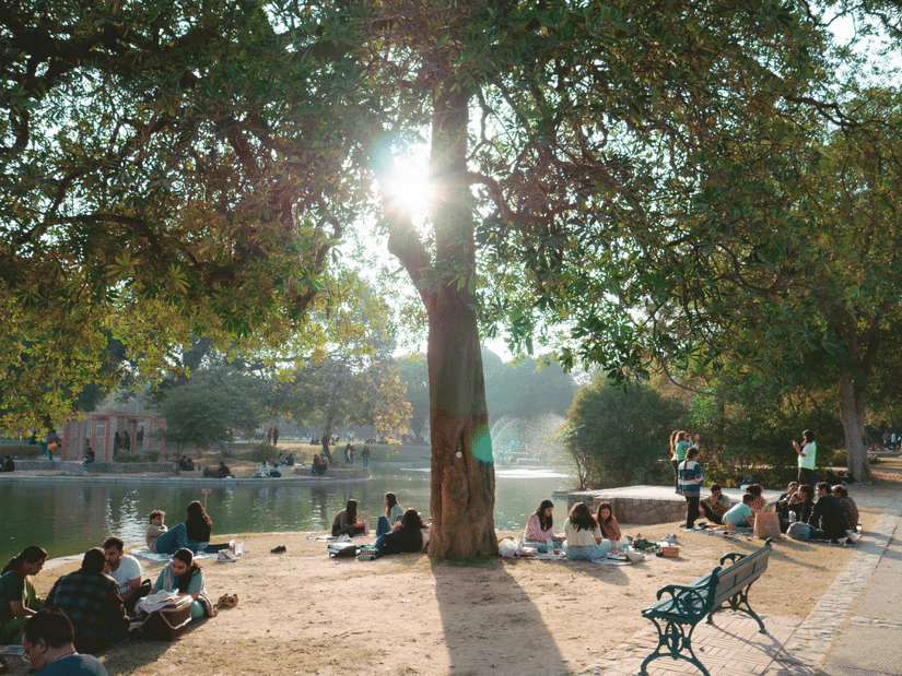 People enjoying a picnic beneath large shade trees beside a peaceful lake in a landscaped park.