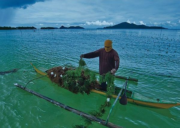 Man paddling a green canoe over clear water near Flower Island Resort.