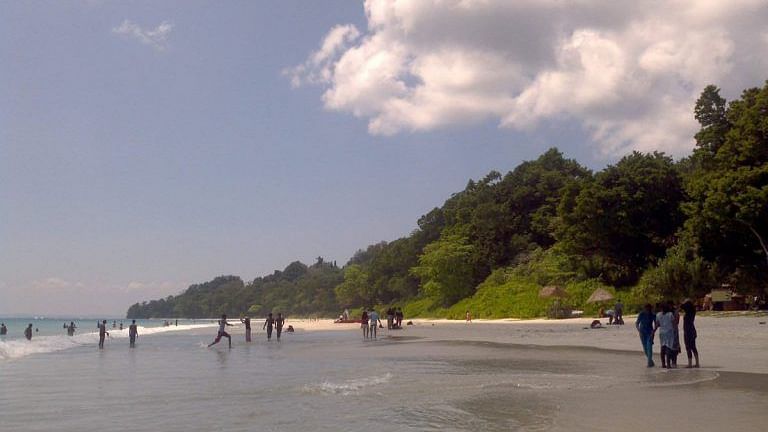 Beachgoers wading on a sunny, tree-lined beach.