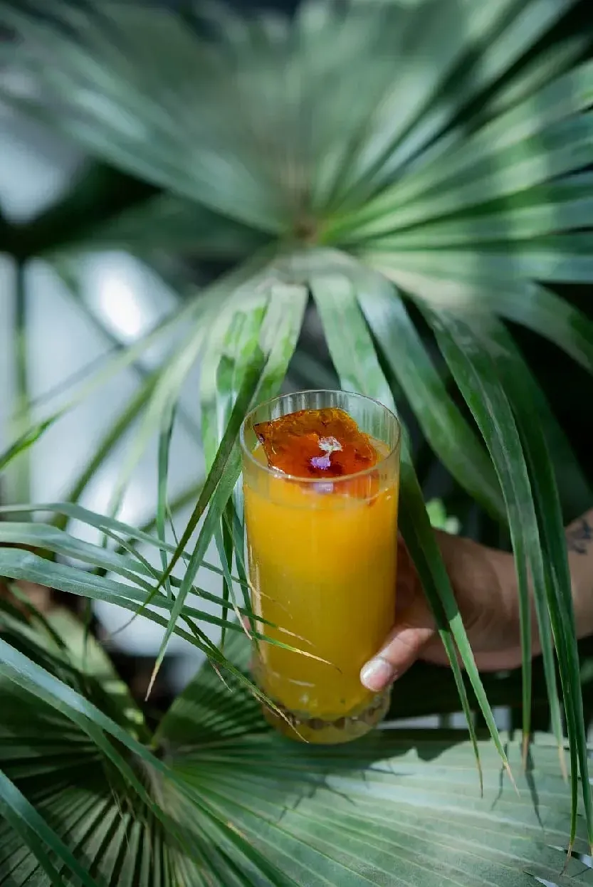 Close-up of a yellow-orange drink served in a glass, placed among green palm leaves at Karma Chalets.