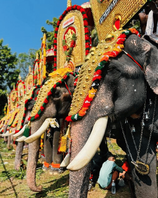 Thrissur Pooram