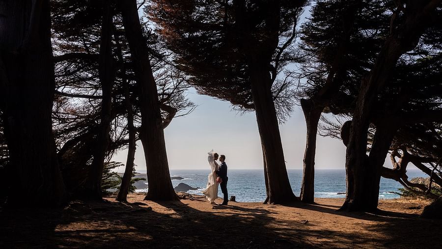 Couple under wind-swept trees with golden sunlight filtering through