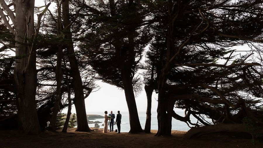 Silhouetted couple framed by towering, windswept trees with a dreamy backdrop