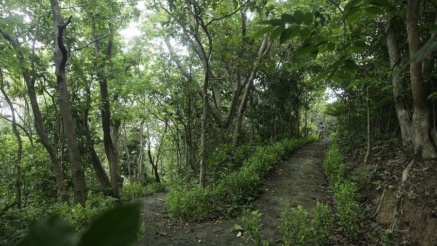 Trekking 2