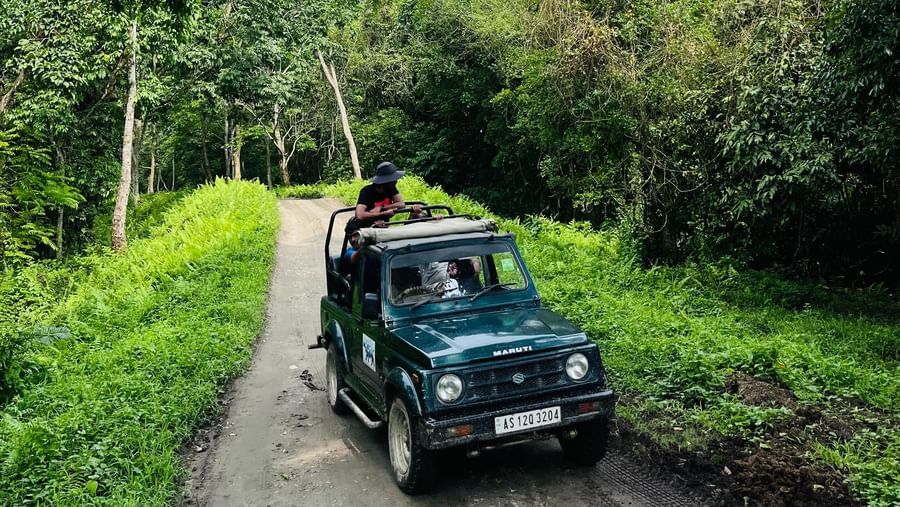 A person standing on top of a Gypsy during on a small road in a wildlife sanctuary