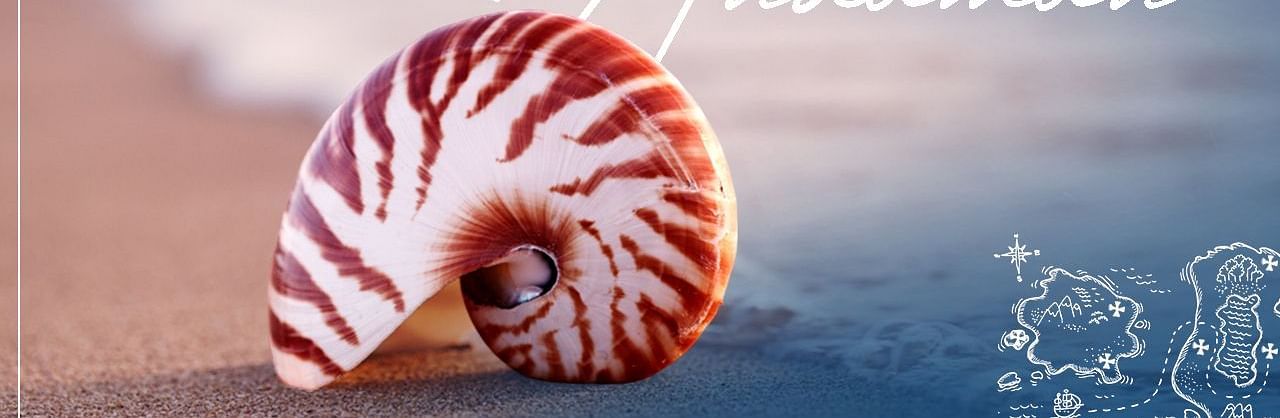 Cover image featuring a seashell with the text, 10 Unconventional Treasure Spots in Andaman.