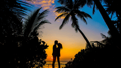Silhouette of a couple kissing beneath tall palm trees against a vibrant tropical sunset sky.