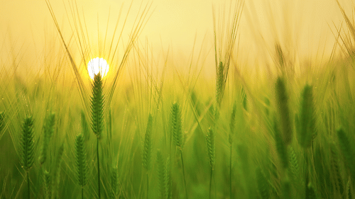 View Park Plaza Ludhiana