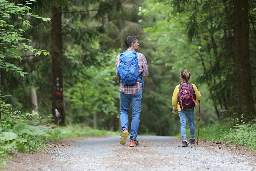 The image shows a man and a woman walking on a path in the woods. They are wearing casual outdoor clothing and walking on a trail surrounded by trees and plants in a forest or state park during the summer.