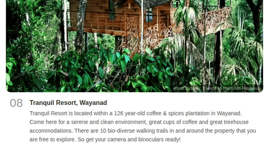 A Times of India feature focusing on the serene environment and unique treehouse accommodations available at Tranquil Resort, Wayanad.