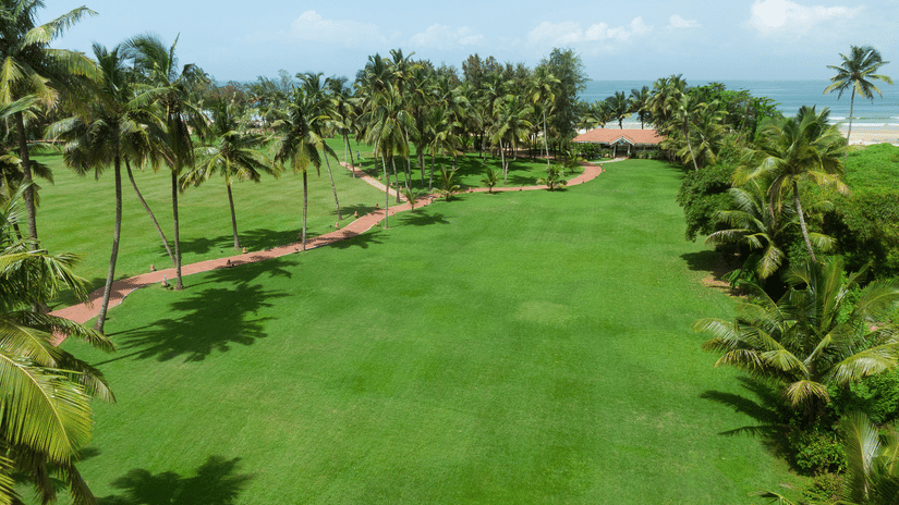 An aerial view of the sprawling green lawns at Kenilworth Resort & Spa, Goa, with a brick-paved pathway winding through palm trees towards the resort.