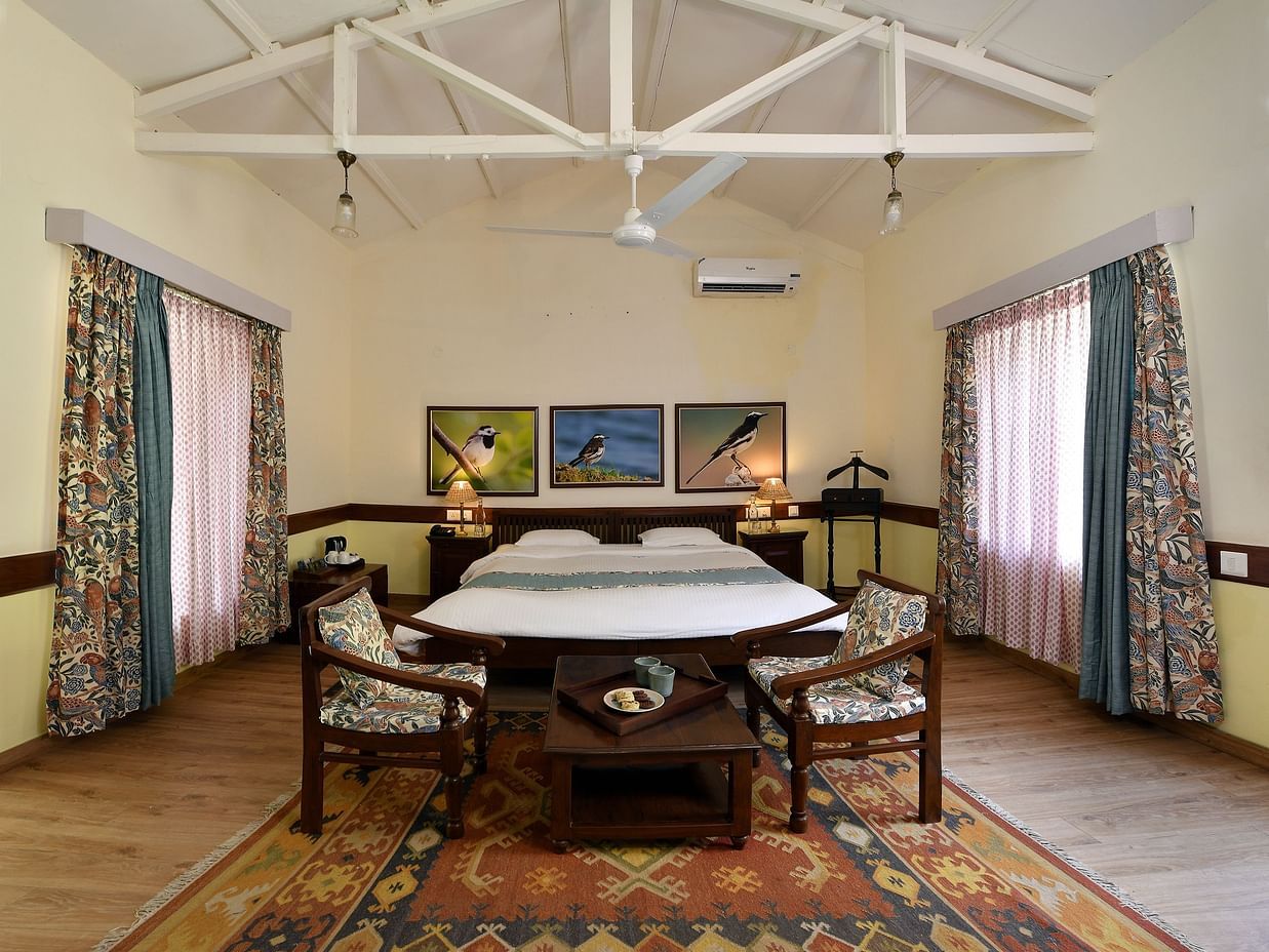 setup of a Wagtail room