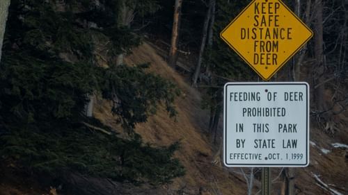 do not feed animals sign - Jagira Ananta Elite Gir