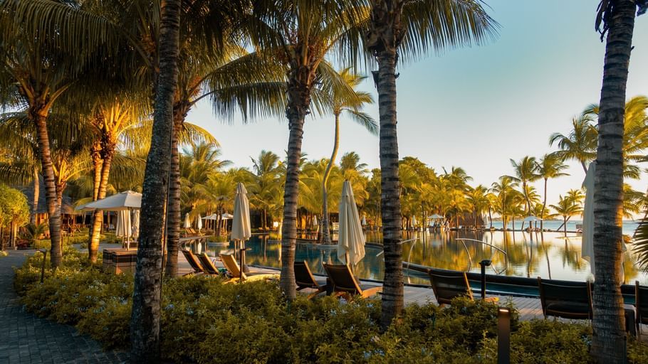 xavier-coiffic-lQ4mfS5Le6M-unsplash