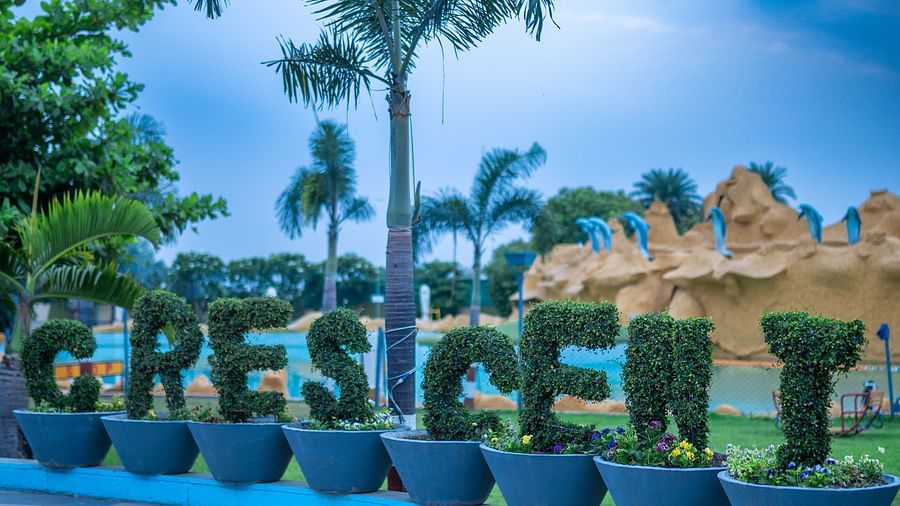 Shrubs trimmed into the shape of letters and says Crescent