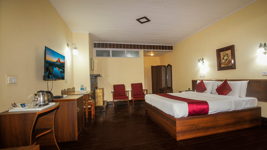 IMG 2412 copy 1 copy 1