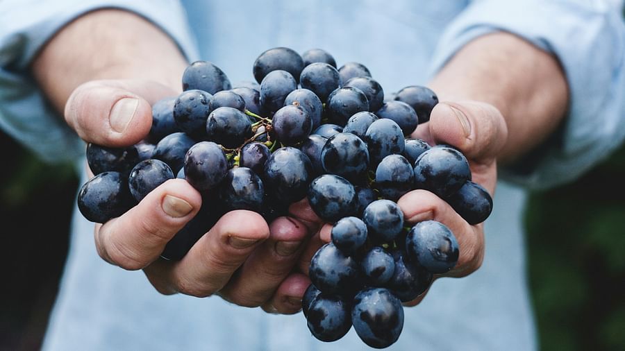 A man holding the grapes 