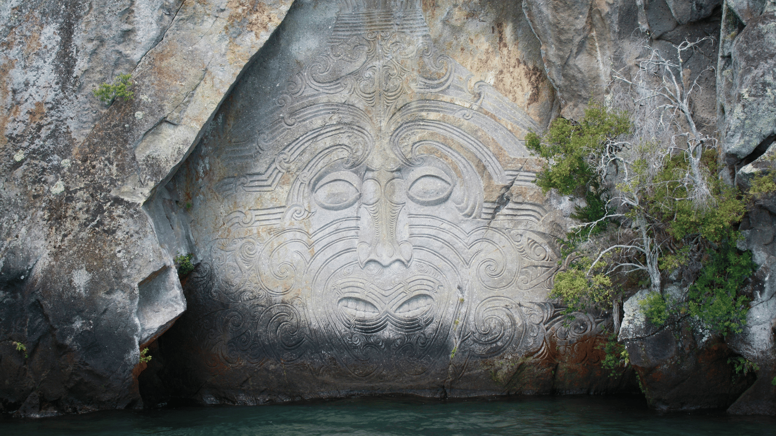 callum-parker--Y4O7iBMAtU-unsplash