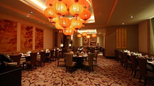 The Oriental Blossom Radisson Hyderabad Hitech City Hyderabad 1