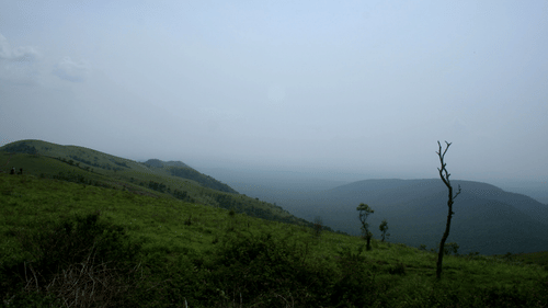 Misty view of the lush Western Ghats hills in Chikmagalur during cloudy weather.