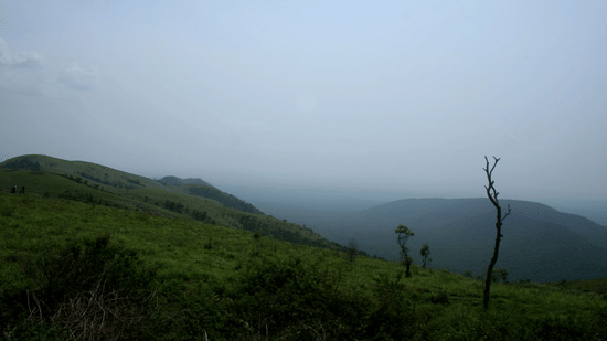 Misty view of the lush Western Ghats hills in Chikmagalur during cloudy weather.