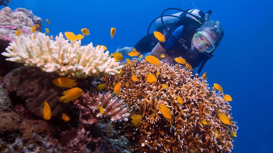 Fun diving in Andaman Photo by Jillian Frits