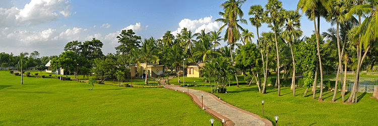 meetings-events Lawn