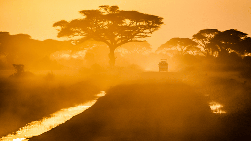 A vehicle travelling on a mud road with trees on either side in the early morning