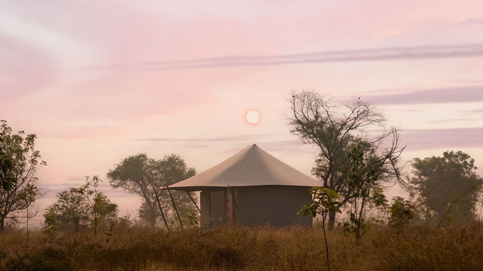 View of a hut during dusk amongst greenery at Trees N Tigers, Tadoba.