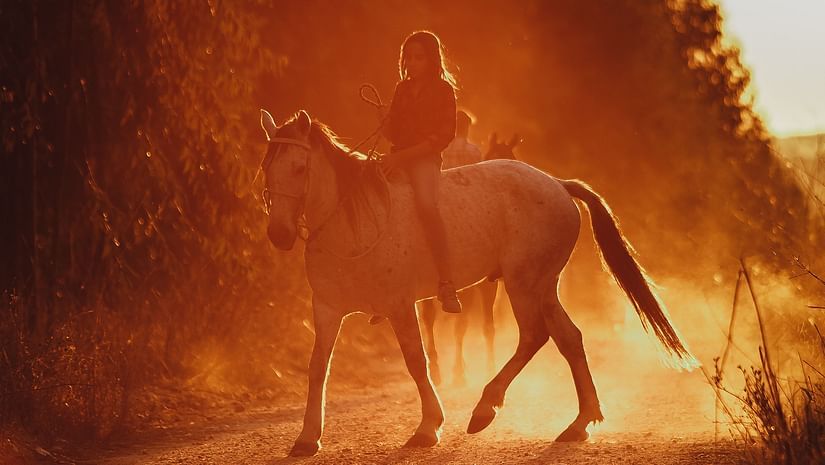 a person Riding a horse on a mud road with trees in the background and evening sun light hitting it