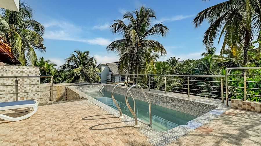 Pool area encircled by lush coconut trees