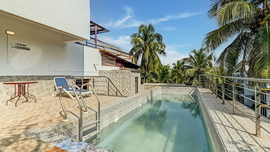 Pool area nestled amid a grove of lush coconut trees