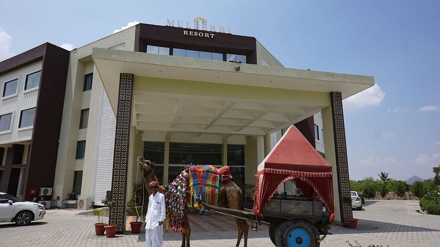 Bamboo Saa Pushkar 2
