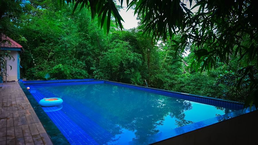 Swimming Pool area surrounded by greenery 