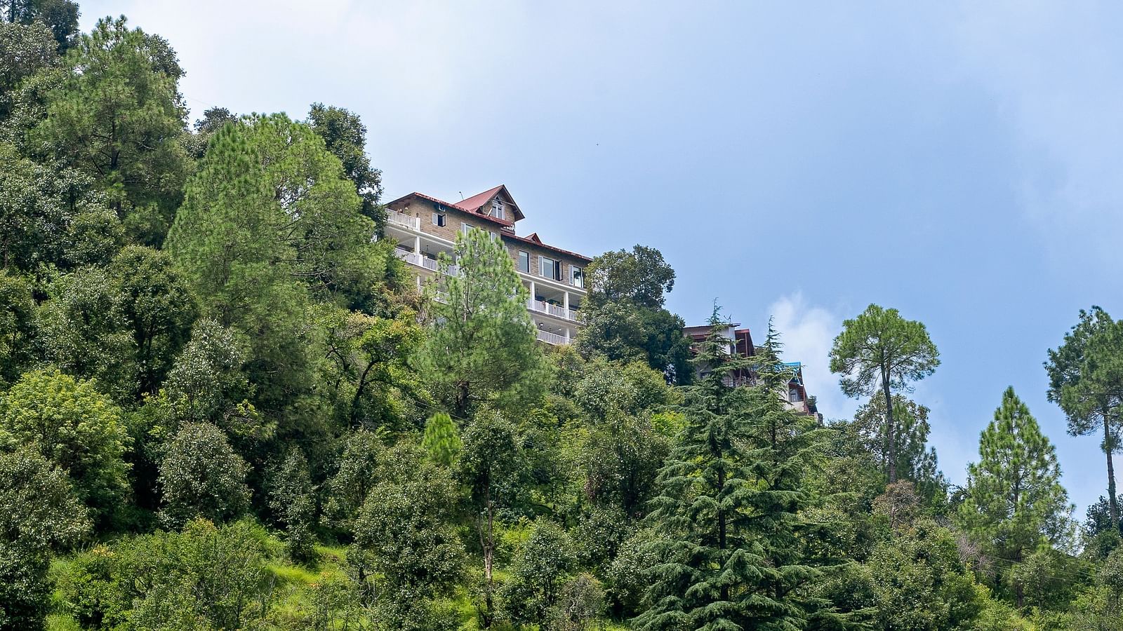 An image of trees and between them a facade of  Suvaasa, Ramgarh can be seen