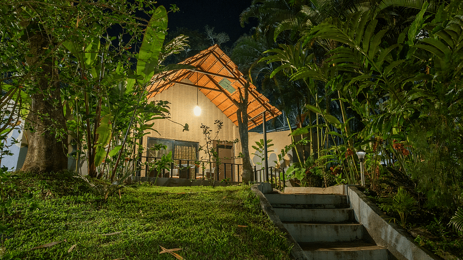 Night facade of an accommodation with a staircase leading to it at Coorg Jungle Camp.
