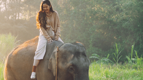 A woman having an elephant ride in Thekkady, during daytime with the sunlight falling on her hair and the elephant's back, and trees in the background