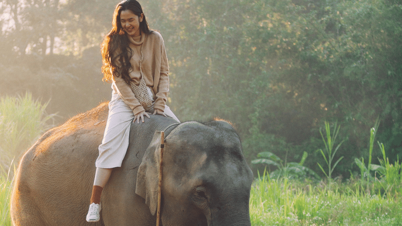 A woman having an elephant ride in Thekkady, during daytime with the sunlight falling on her hair and the elephant's back, and trees in the back.
