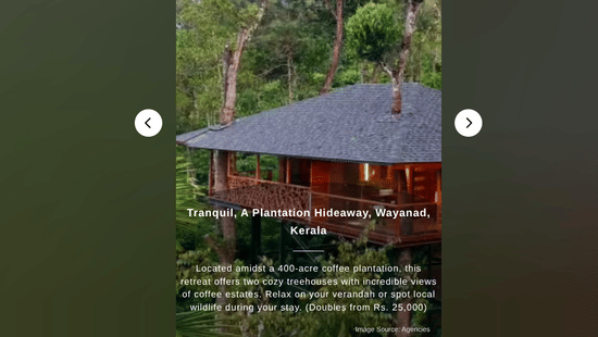 An Economic Times web story featuring a modern, elevated plantation treehouse hideaway nestled among tall trees at Tranquil Resort, Wayanad.