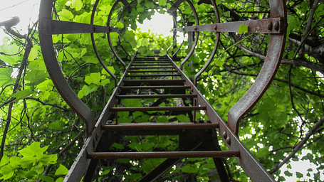 A metal staircase surrounded by lush greenery.