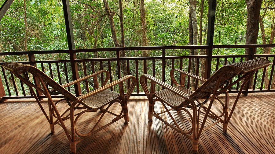 A back view of two chairs placed in a balcony with forest views | Vythiri Resort. Wayanad