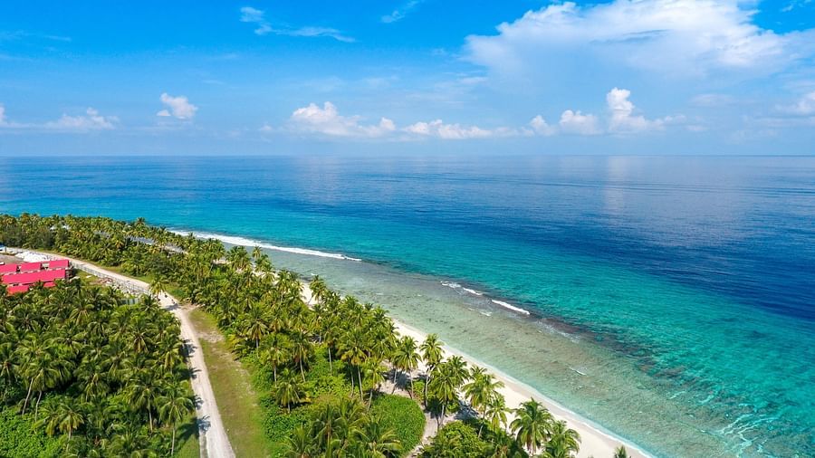beach with greenery