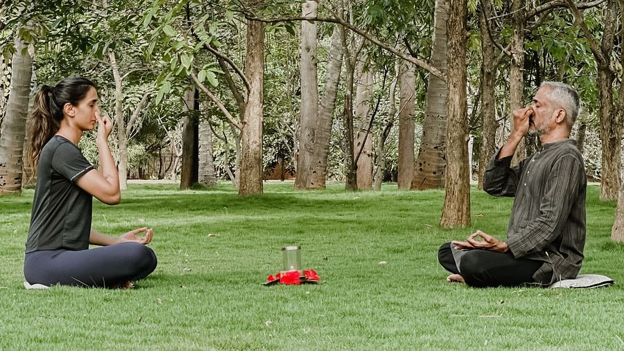 People doing yoga poses under trees, outdoor setting.