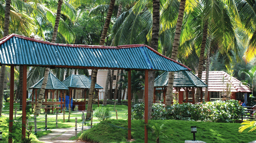 A walkway in between manicured lawn with coconut trees - Black Thunder, Coimbatore