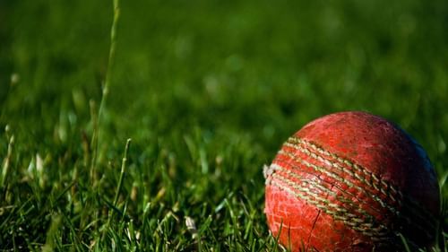 a rough cricket ball on lush green grass