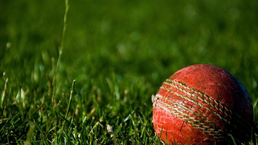 a stitched cricket ball that has been worn out by excessive playing resting on grass