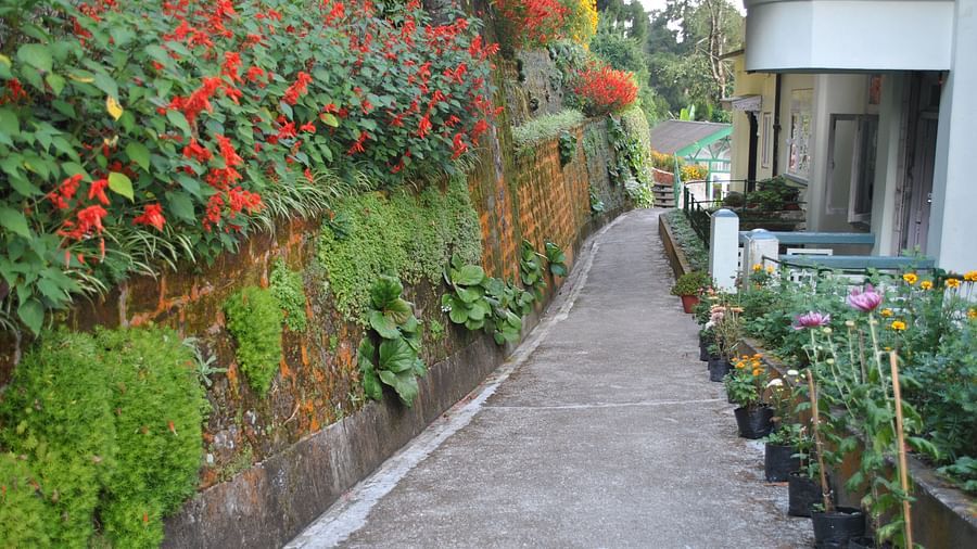 Central Gleneagles Resort, Darjeeling Darjeeling Resort1 Central Gleneagles Resort Darjeeling